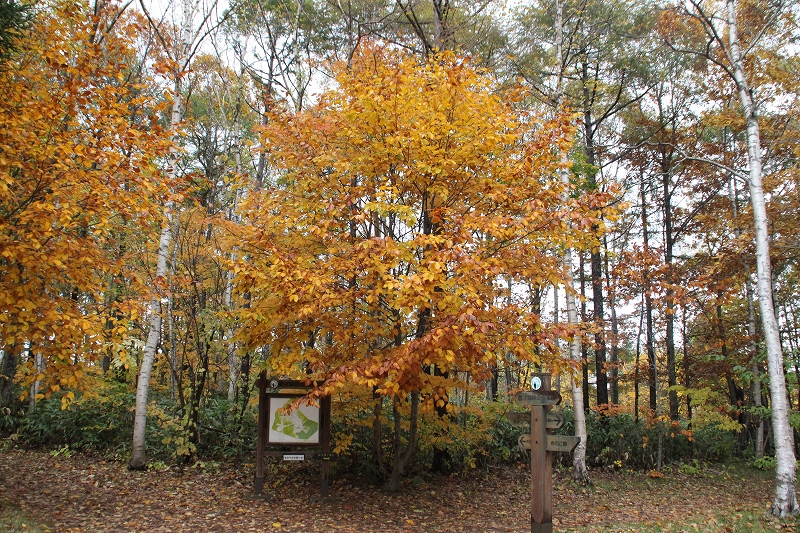 b0250154_2024269.jpg