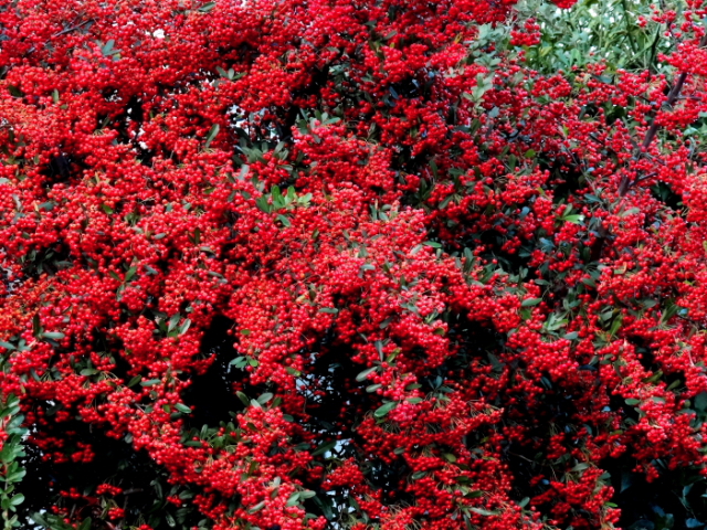 d0225575_23275056.jpg