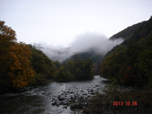 d0165378_1112931.jpg