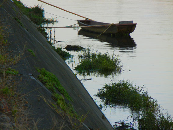 e0074782_220299.jpg