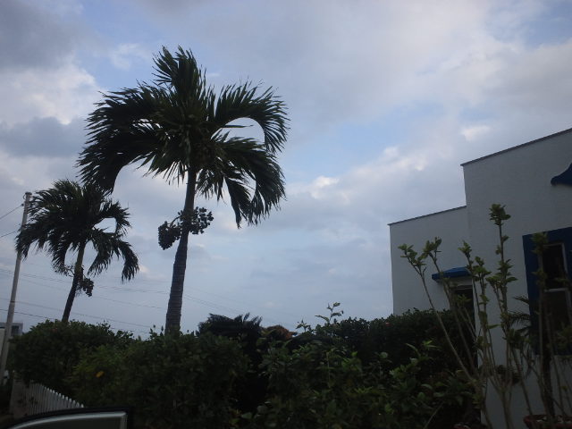 f0051283_18111436.jpg