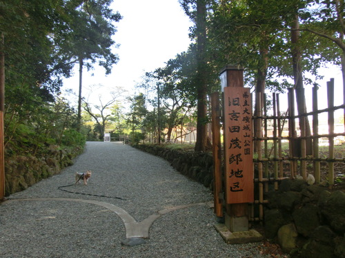 e0123587_105278.jpg