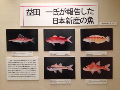 c0237588_10153591.jpg