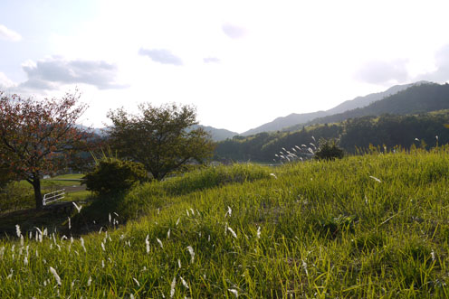 f0222692_1926250.jpg