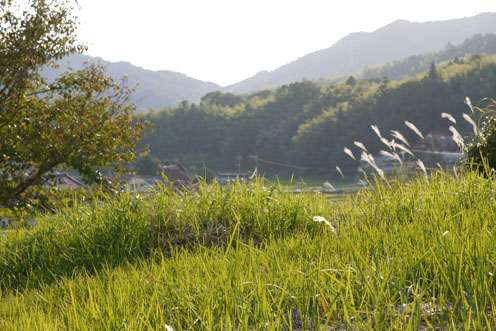 f0222692_19271519.jpg