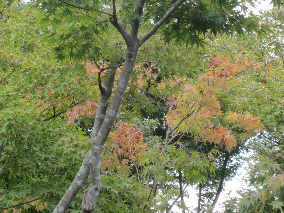 a0258496_2259025.jpg