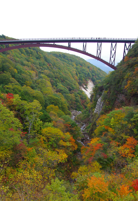 a0184303_20211164.jpg