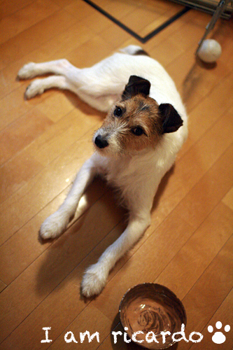 d0150704_1101562.jpg