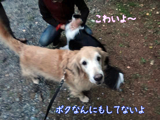 f0064906_17435931.jpg