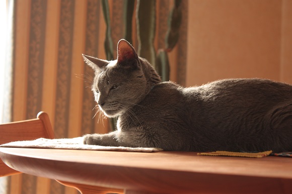 d0001008_1753546.jpg