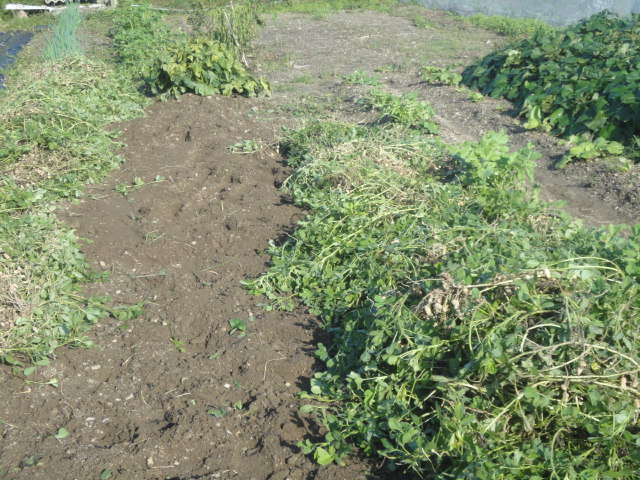 f0231709_1003595.jpg