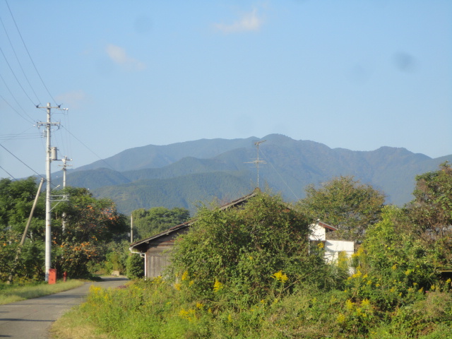 f0231709_1011835.jpg