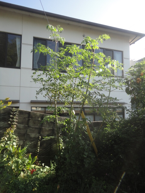 f0231709_106043.jpg