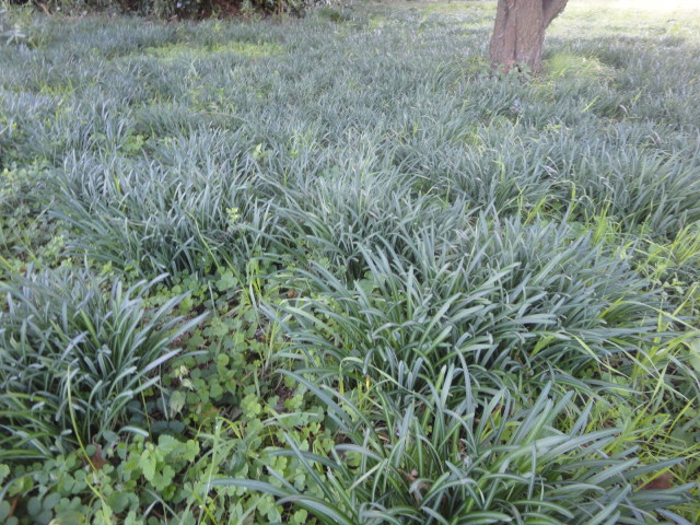 f0231709_958157.jpg
