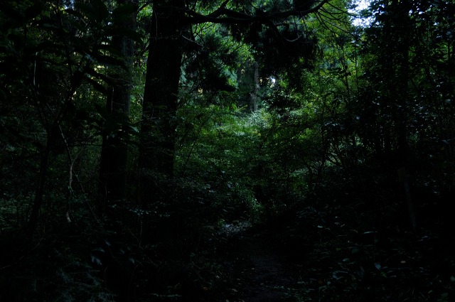 e0005714_19554353.jpg