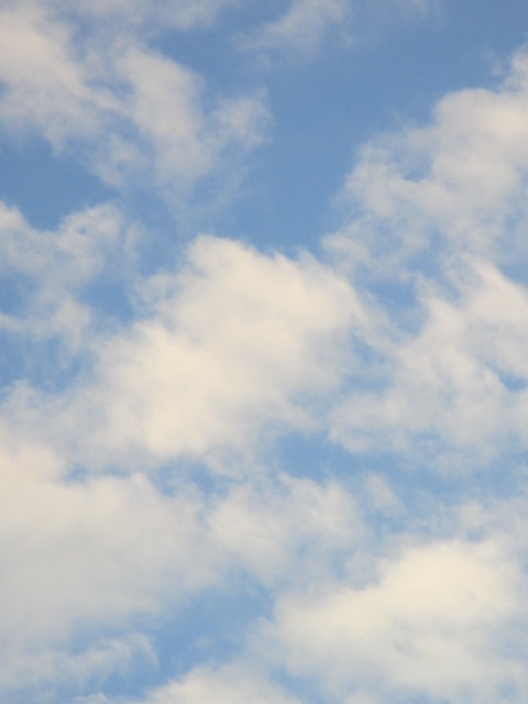 e0130722_1621171.jpg