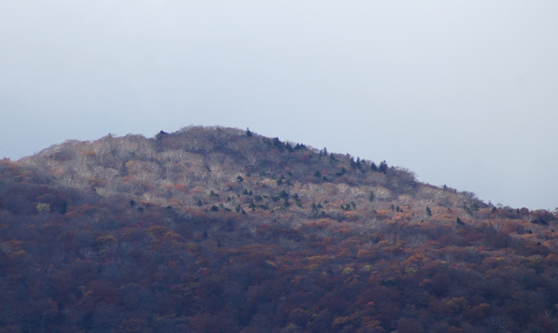 a0304423_16464261.jpg