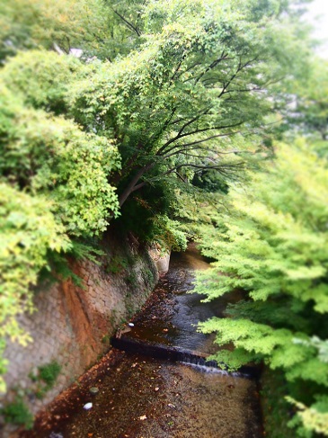 f0111926_1444191.jpg