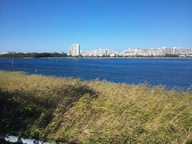 c0236527_22443078.jpg