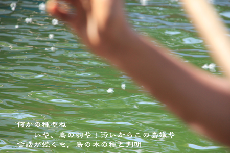 d0042827_1028053.jpg