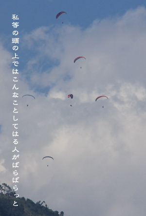 d0042827_11776.jpg