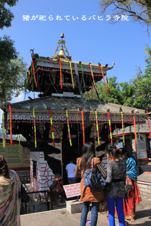 d0042827_216479.jpg