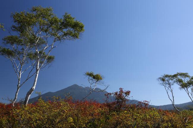 f0017530_2281589.jpg
