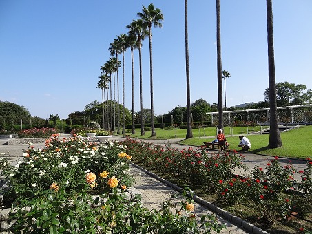 b0299042_22551322.jpg