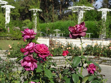 b0299042_236486.jpg