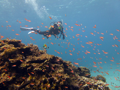 f0014842_16513470.jpg