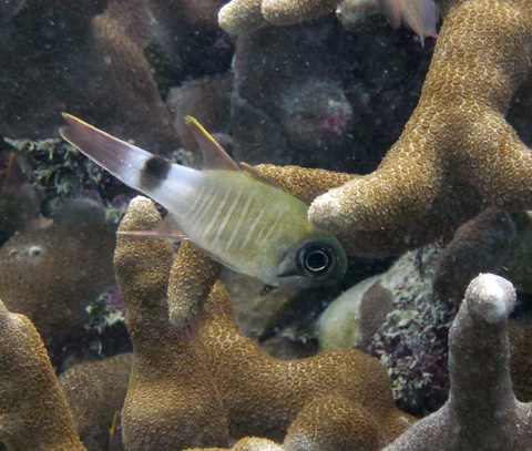 f0014842_1715195.jpg