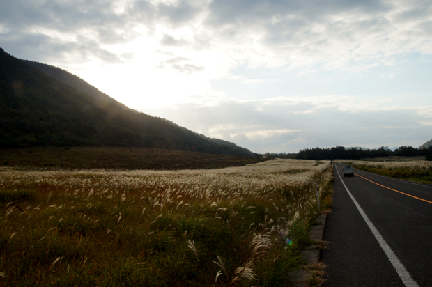 f0214649_5523199.jpg