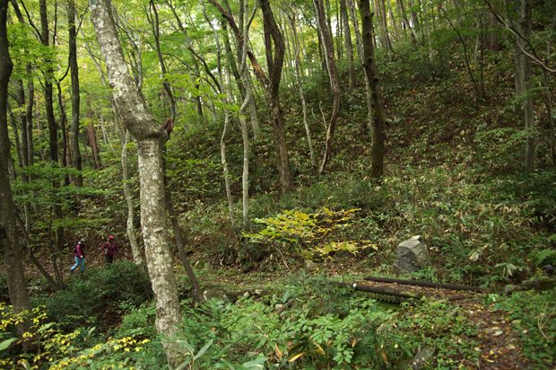 f0214649_8104374.jpg