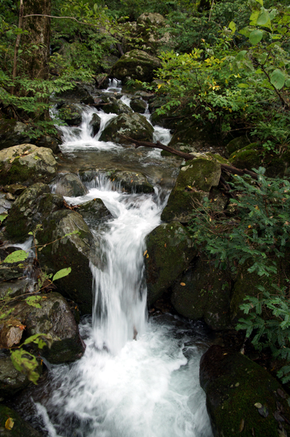 f0214649_8154087.jpg