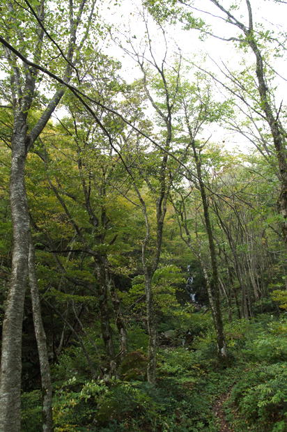 f0214649_8173248.jpg