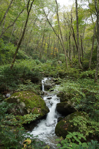 f0214649_817513.jpg