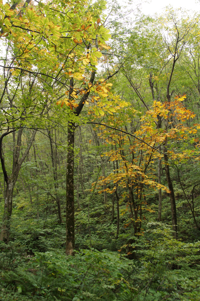 f0214649_8182254.jpg