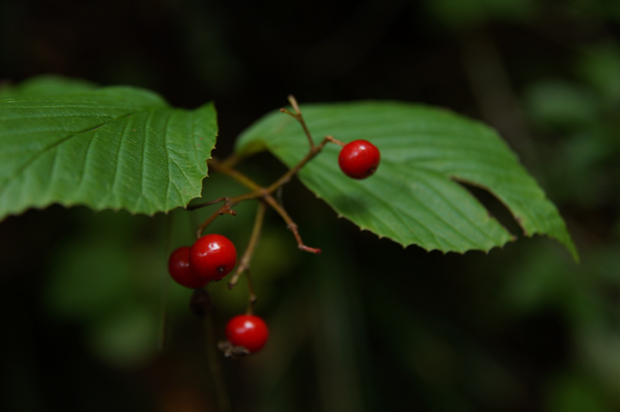 f0214649_824313.jpg
