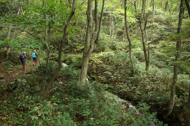 f0214649_832189.jpg