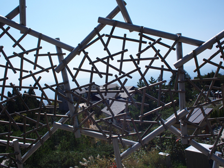 f0216353_265498.jpg