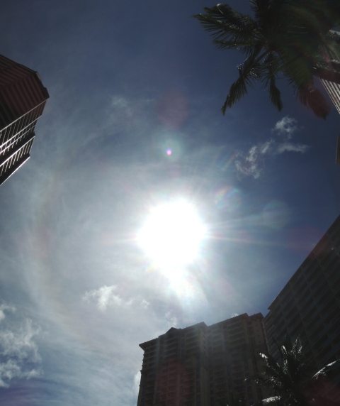 b0173754_435055.jpg