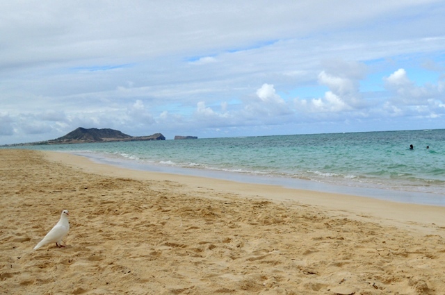 b0173754_435139.jpg