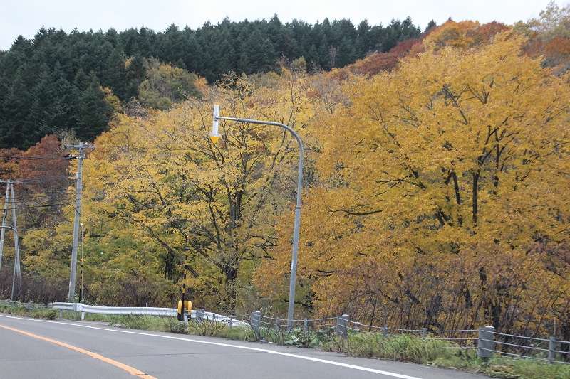 b0250154_1023811.jpg