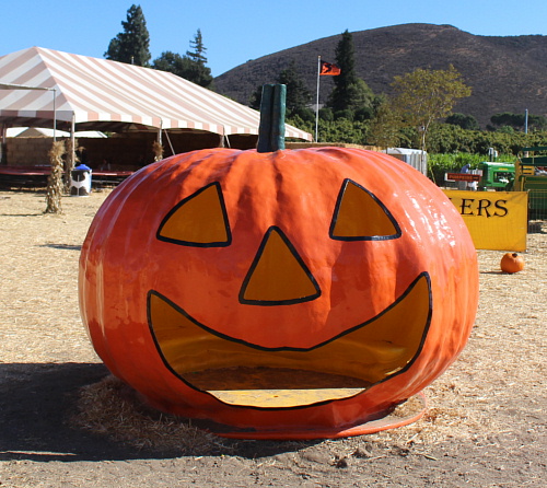 a0269761_0314076.jpg
