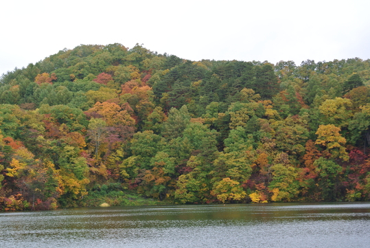 c0080861_11574576.jpg