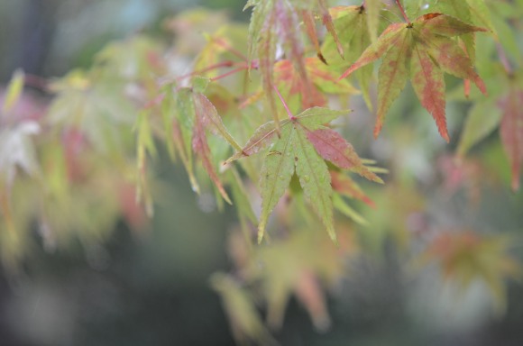 f0297861_2118129.jpg