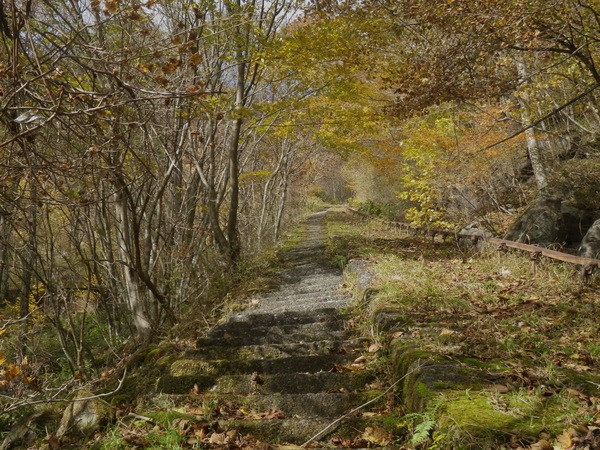 d0010065_17504134.jpg