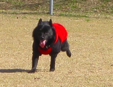 e0002466_18425383.jpg