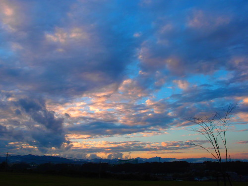 c0122670_11034.jpg