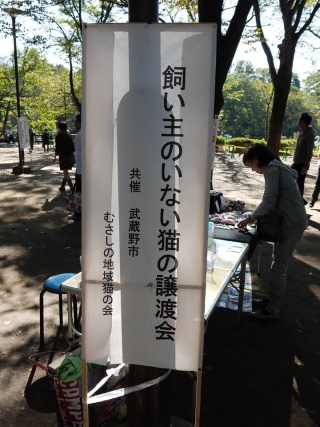 c0268274_23333798.jpg